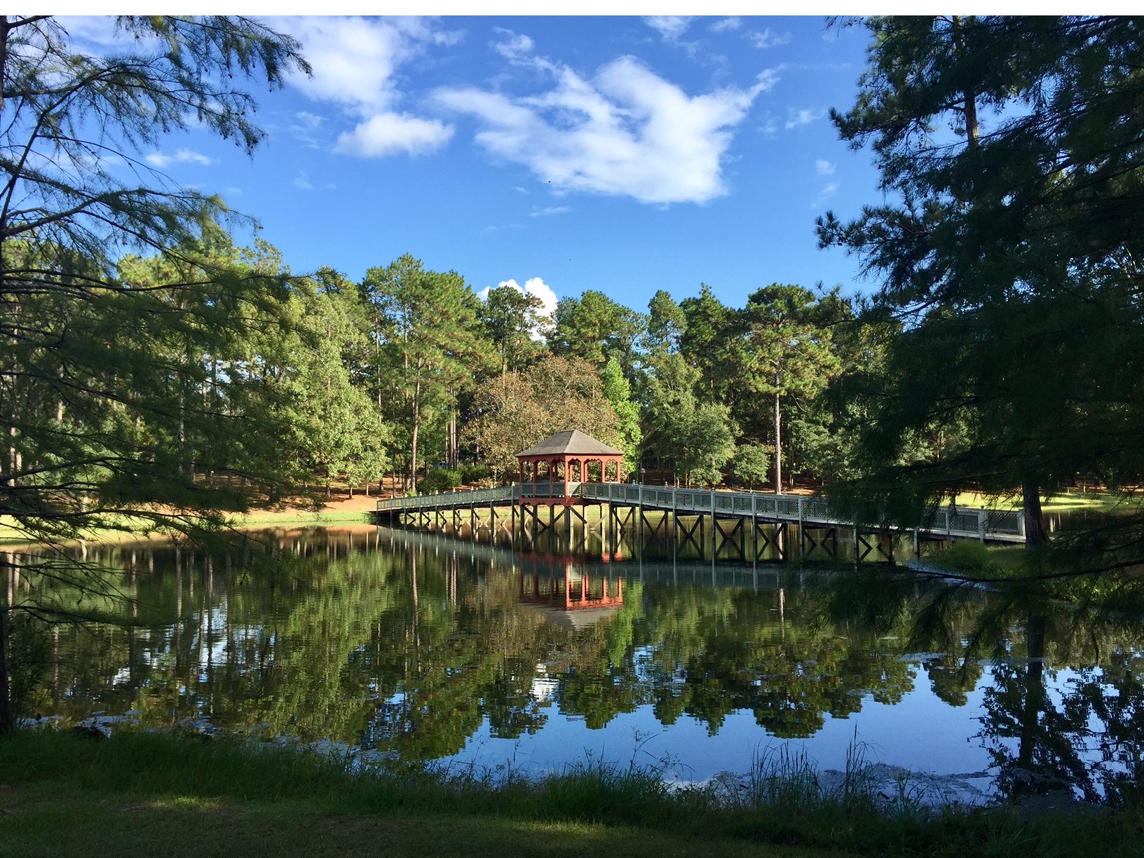 EDOLA Co-Ed Recover 2026