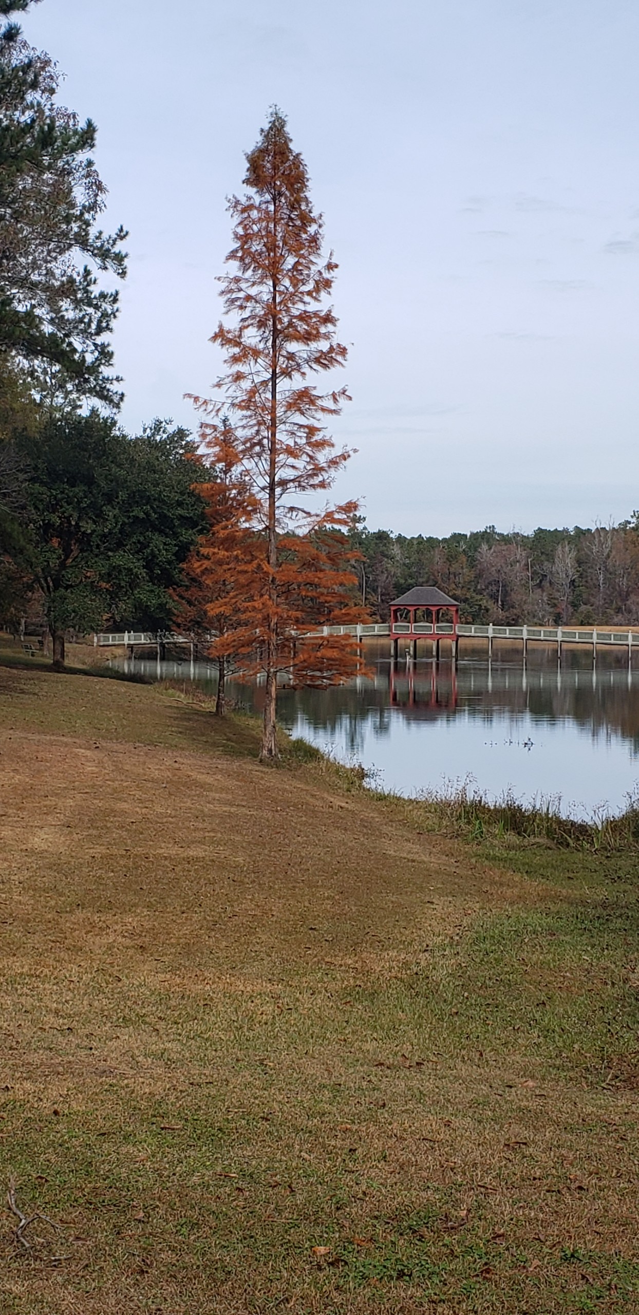 EDOLA Conference on Ministry 2026