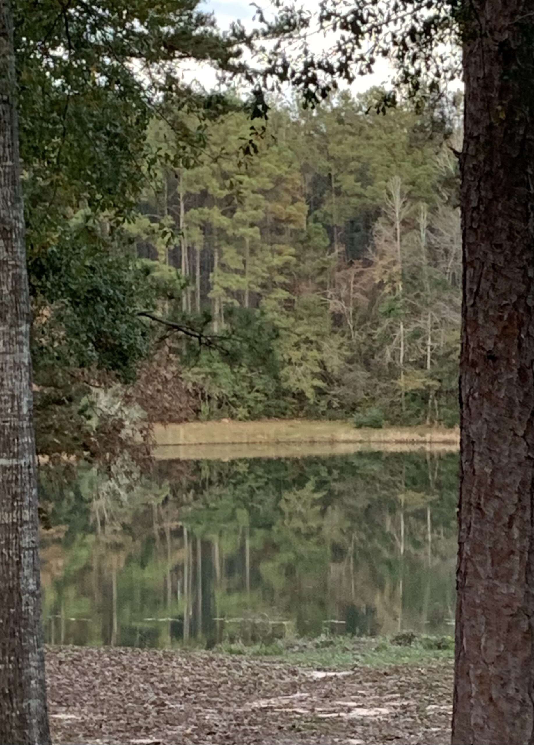 SECC Silent Retreat 2026